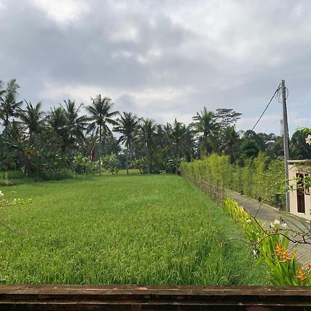 Adi Laxmi Villa Ubud Eksteriør billede