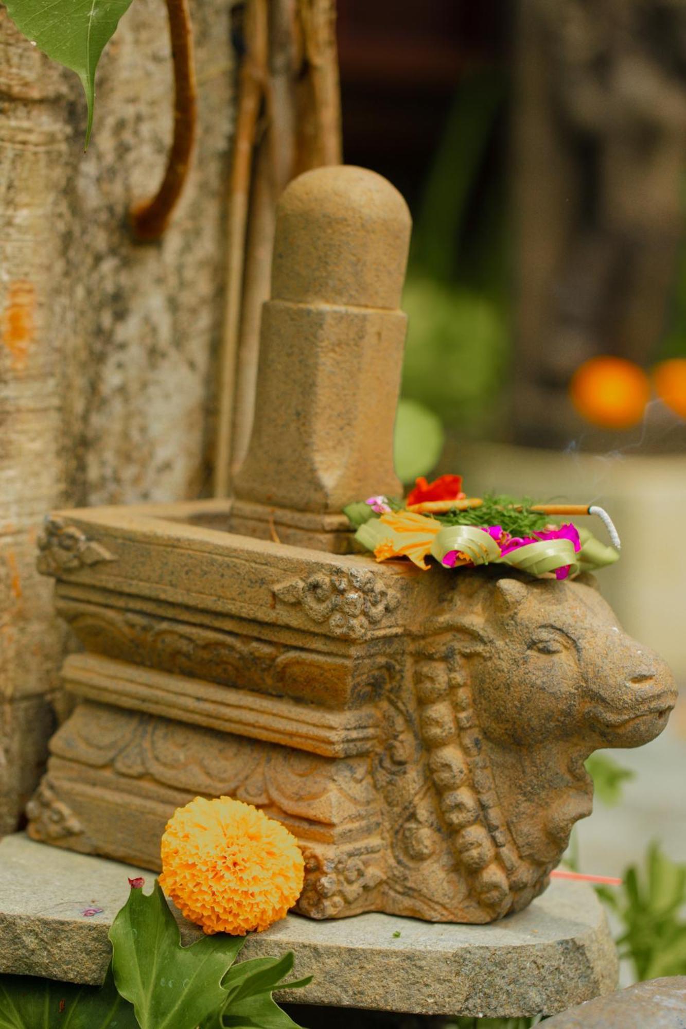 Adi Laxmi Villa Ubud Eksteriør billede