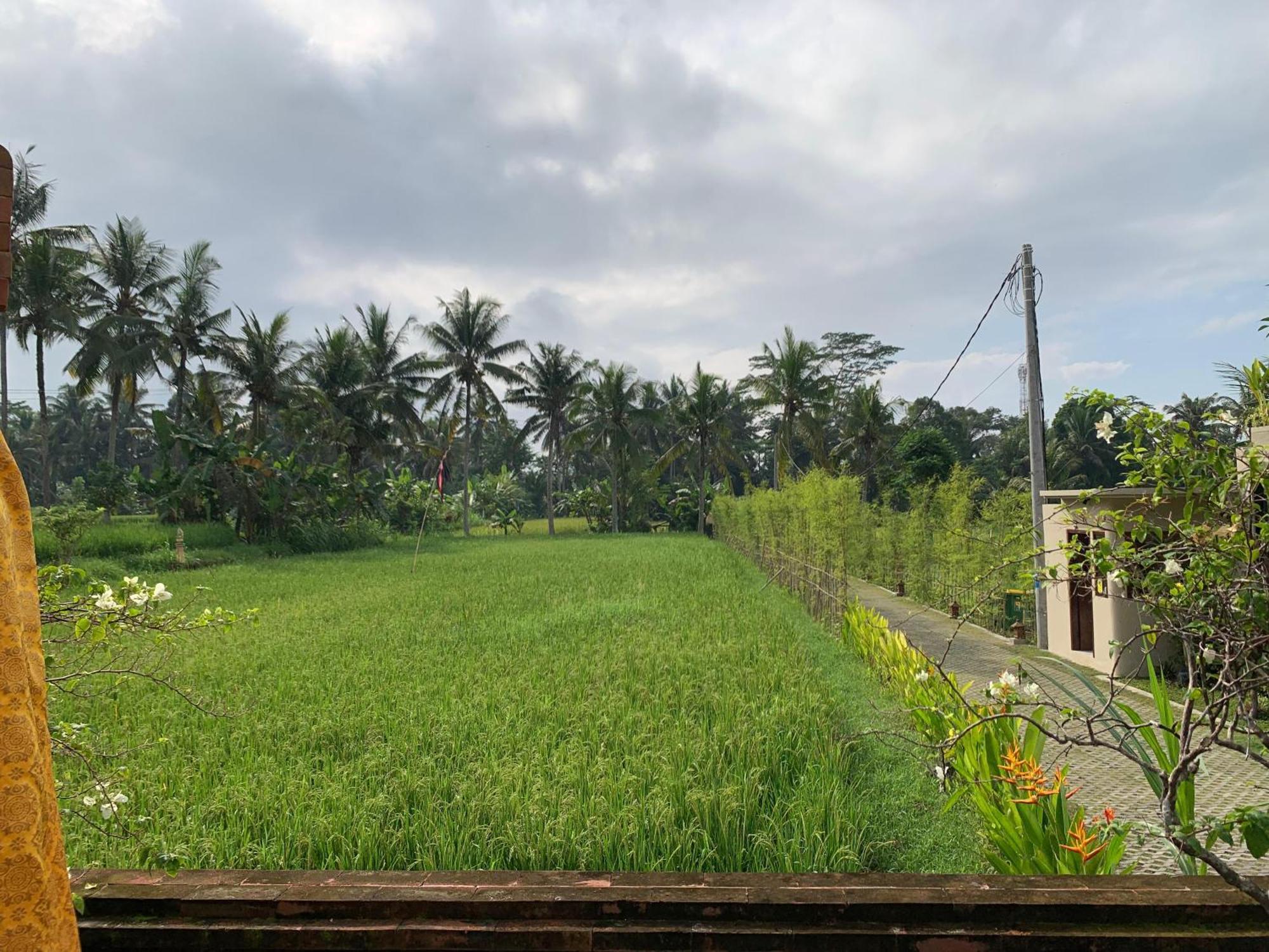 Adi Laxmi Villa Ubud Eksteriør billede